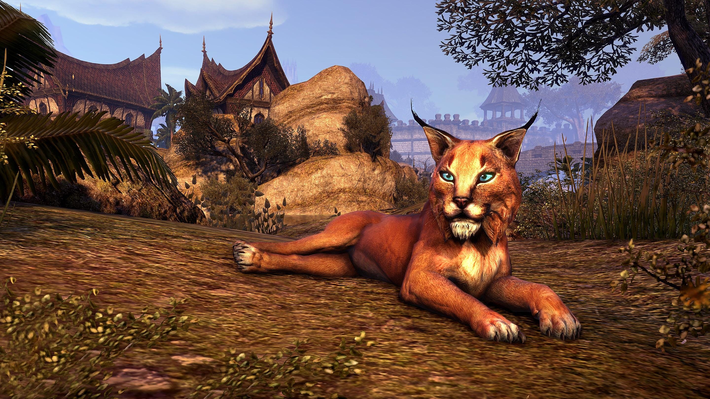 f93e554257250bf042724dceadf83c39.jpg?_ga=1.241393154.1610688445.1470041210