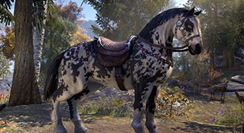 騎乗動物 Elder Scrolls Online Jp Wiki