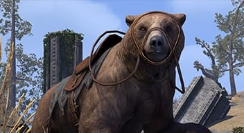 騎乗動物 Elder Scrolls Online Jp Wiki