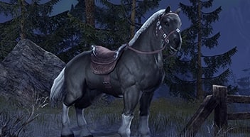 騎乗動物 Elder Scrolls Online Jp Wiki