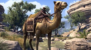 騎乗動物 Elder Scrolls Online Jp Wiki