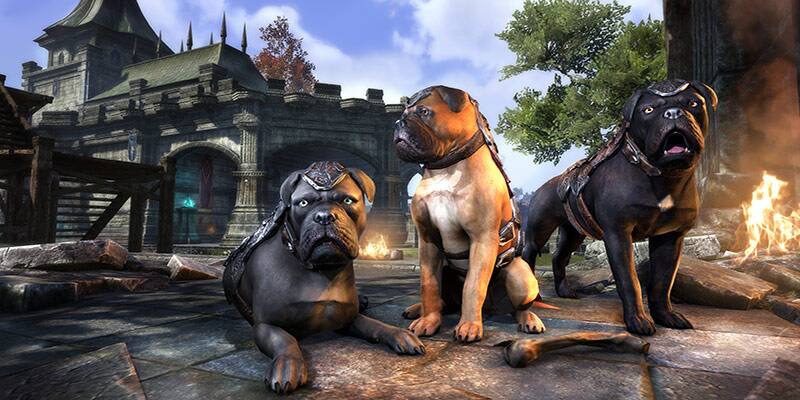 combat-pets-elder-scrolls-online